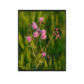 Pink Thistle Wall Art Poster – Botanical Flower Home Decor, Nature Print for Living Room, Bedroom, Office
