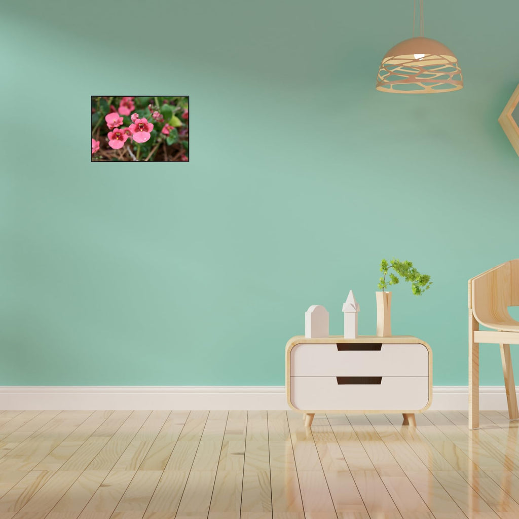 Diascia Barberae Ruby Field Poster – Floral Wall Art for Home Decor, Botanical Flower Print, Bedroom & Living Room Wall Decor