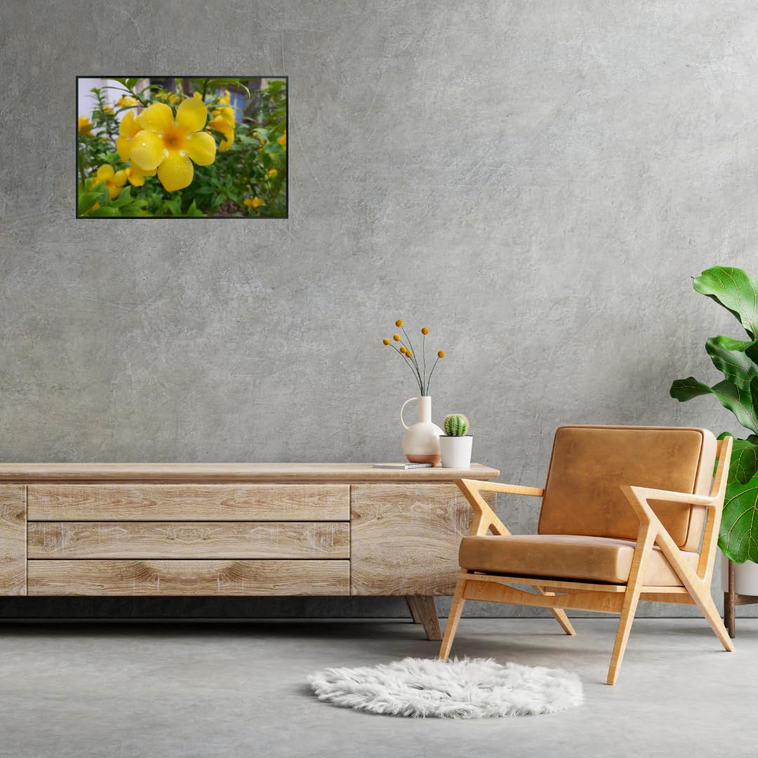 Yellow Allamanda Tropical Flower Wall Art – Golden Trumpet Botanical Poster for Home Decor, Living Room, Bedroom, or Office – Vibrant Tropical Plant Artwork Print