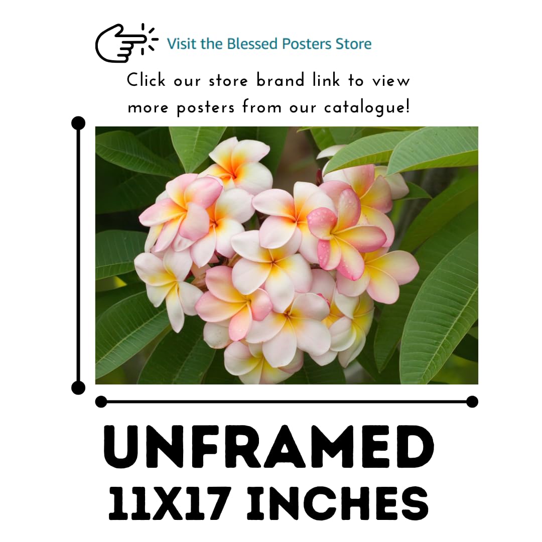 Pink Frangipani Wall Art Poster – Tropical Flower Print for Home Decor, Botanical Wall Art for Living Room, Bedroom, or Office – Aesthetic Floral Poster, Nature-Inspired Art Print