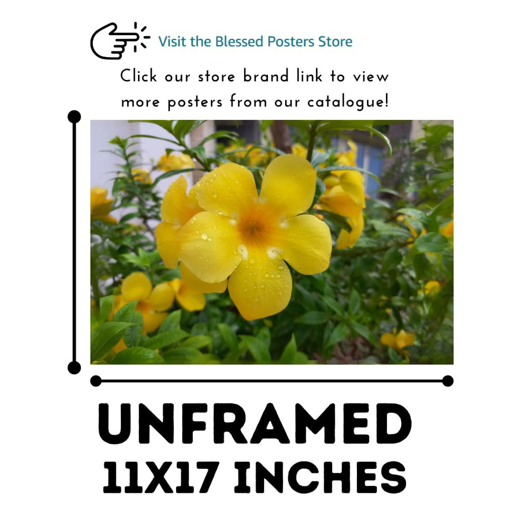 Yellow Allamanda Tropical Flower Wall Art – Golden Trumpet Botanical Poster for Home Decor, Living Room, Bedroom, or Office – Vibrant Tropical Plant Artwork Print