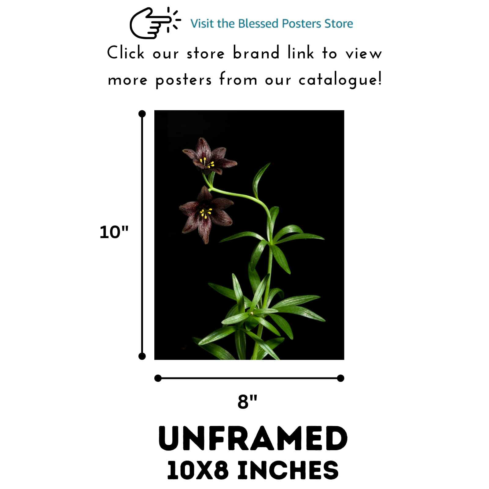 Kamchatka Lily Wall Art Poster – Botanical Fritillaria Camschatcensis Flower Print Home Decor