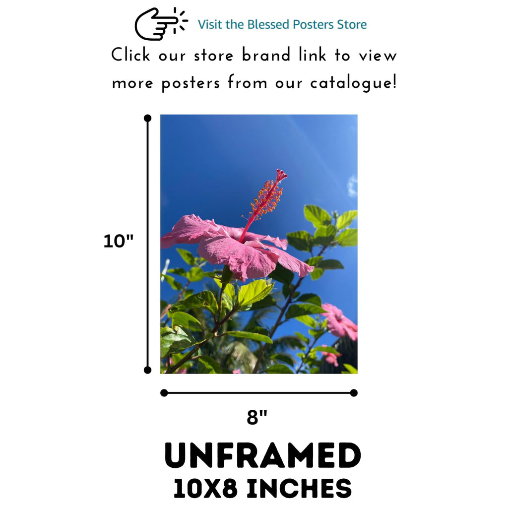 Hibiscus Rosa-Sinensis Botanical Poster – Vibrant Floral Wall Art for Home Decor, Living Room, Bedroom, Office & Gallery Spaces