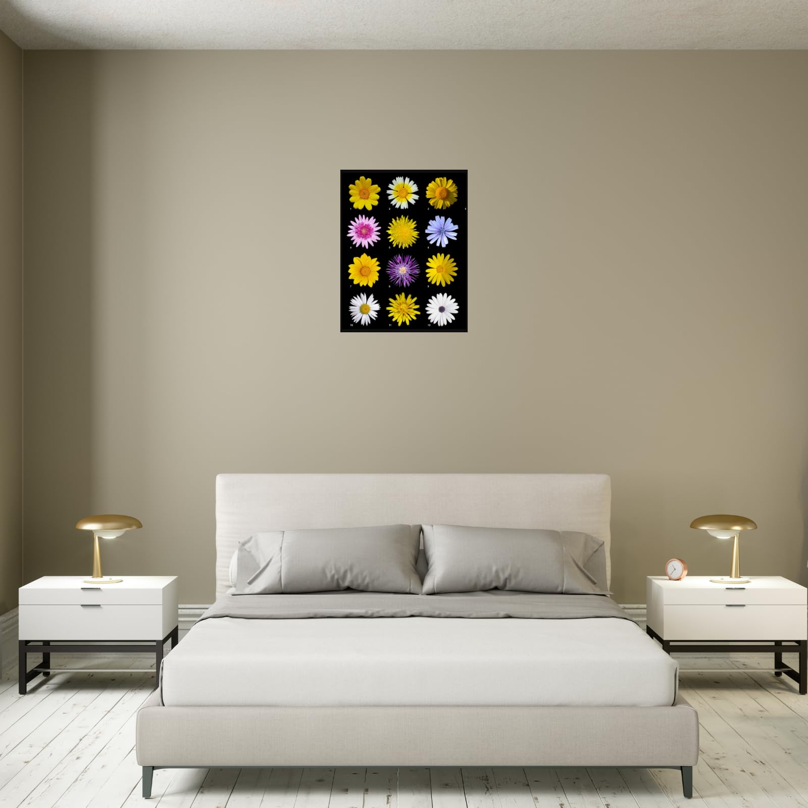 Asteraceae Daisy Botanical Wall Art Poster for Home Decor | Floral Illustration Print for Living Room, Bedroom, Office Decoration