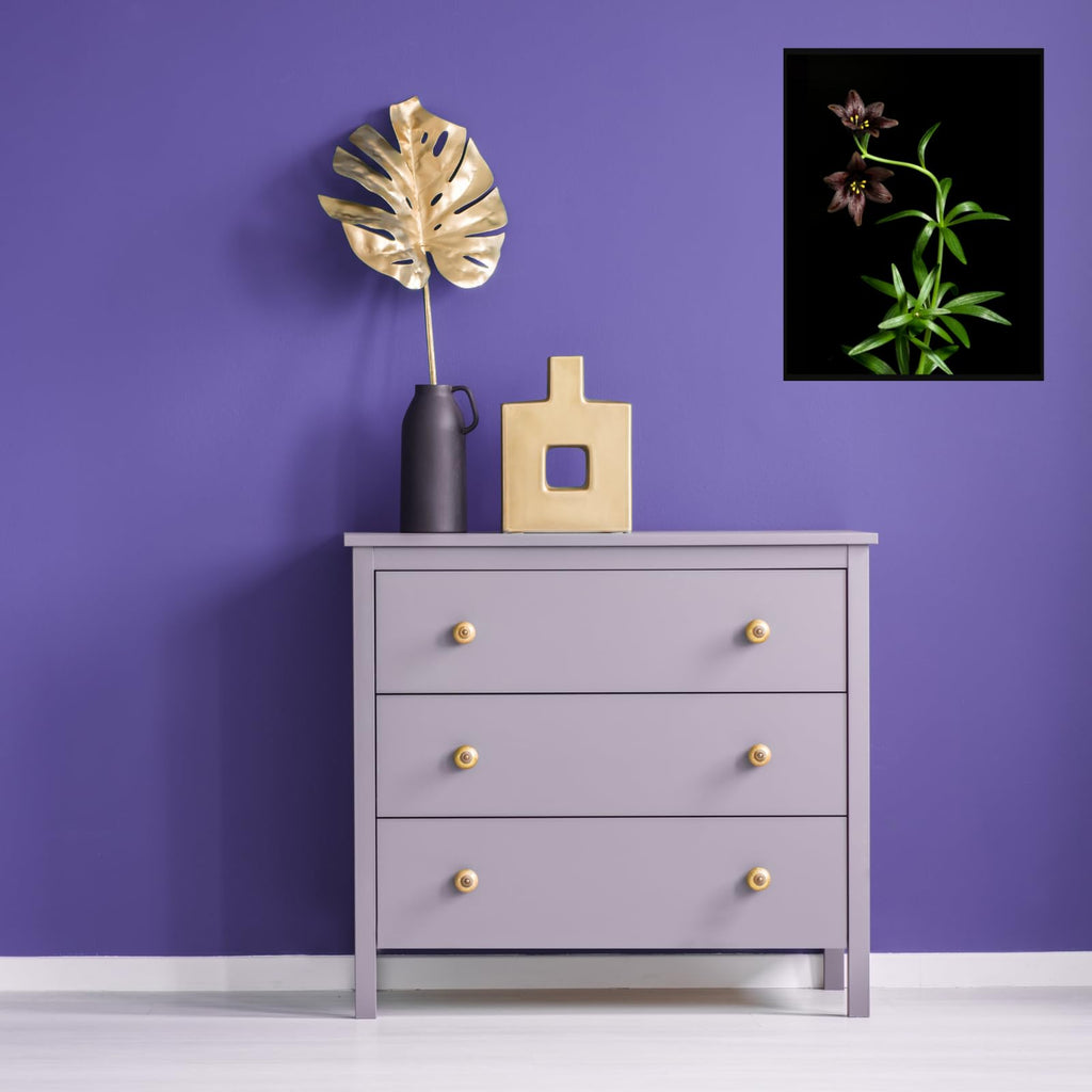 Kamchatka Lily Wall Art Poster – Botanical Fritillaria Camschatcensis Flower Print Home Decor