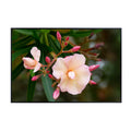 Nerium Oleander Wall Art Poster – Botanical Flower Print for Home Decor, Nature-Inspired Art for Living Room, Bedroom, or Office – Elegant Floral Art Print