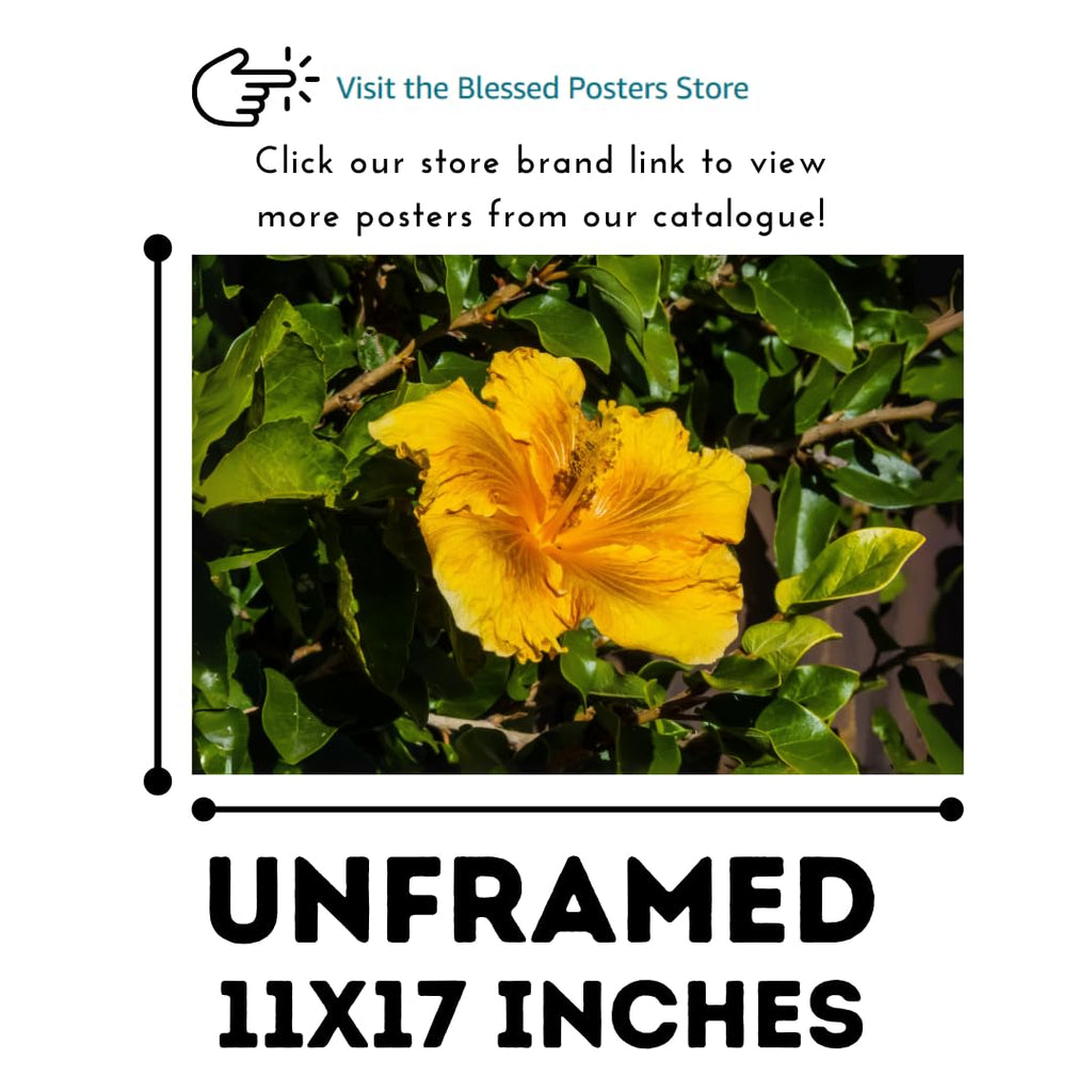 Hibiscus Golden Yellow Wall Art Poster – Tropical Flower Home Decor, Botanical Plant Print, Nature-Inspired Bedroom & Living Room Artwork