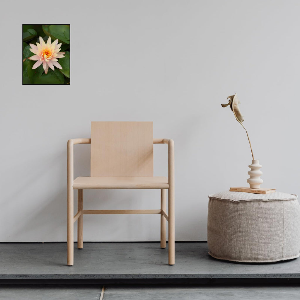 Nymphaea Tetragona Botanical Wall Art Poster – Water Lily Illustration for Home Decor, Floral Print Picture for Living Room