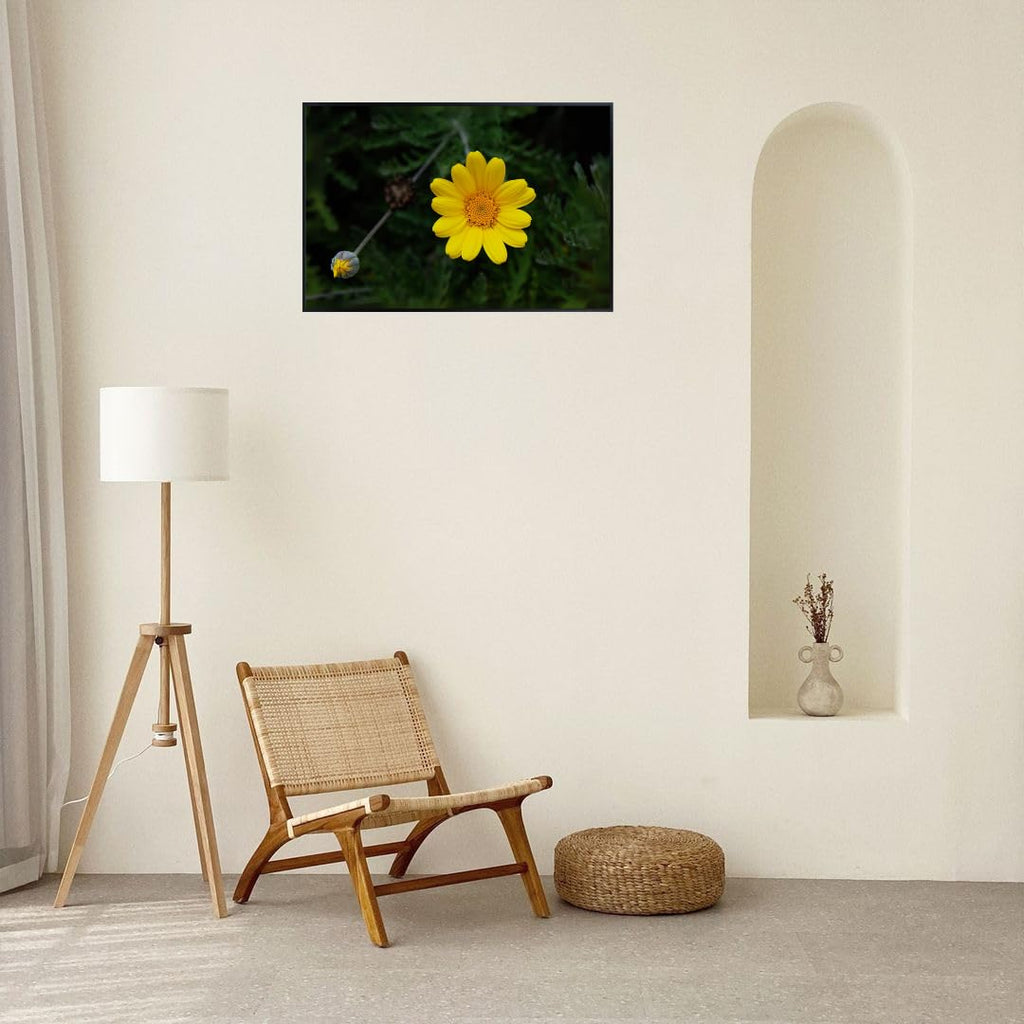 Yellow Chamomile Wall Art Poster – Golden Marguerite Botanical Print for Home Decor, Aesthetic Floral Artwork for Living Room, Bedroom, Office, Kitchen – Modern Nature Wall Art