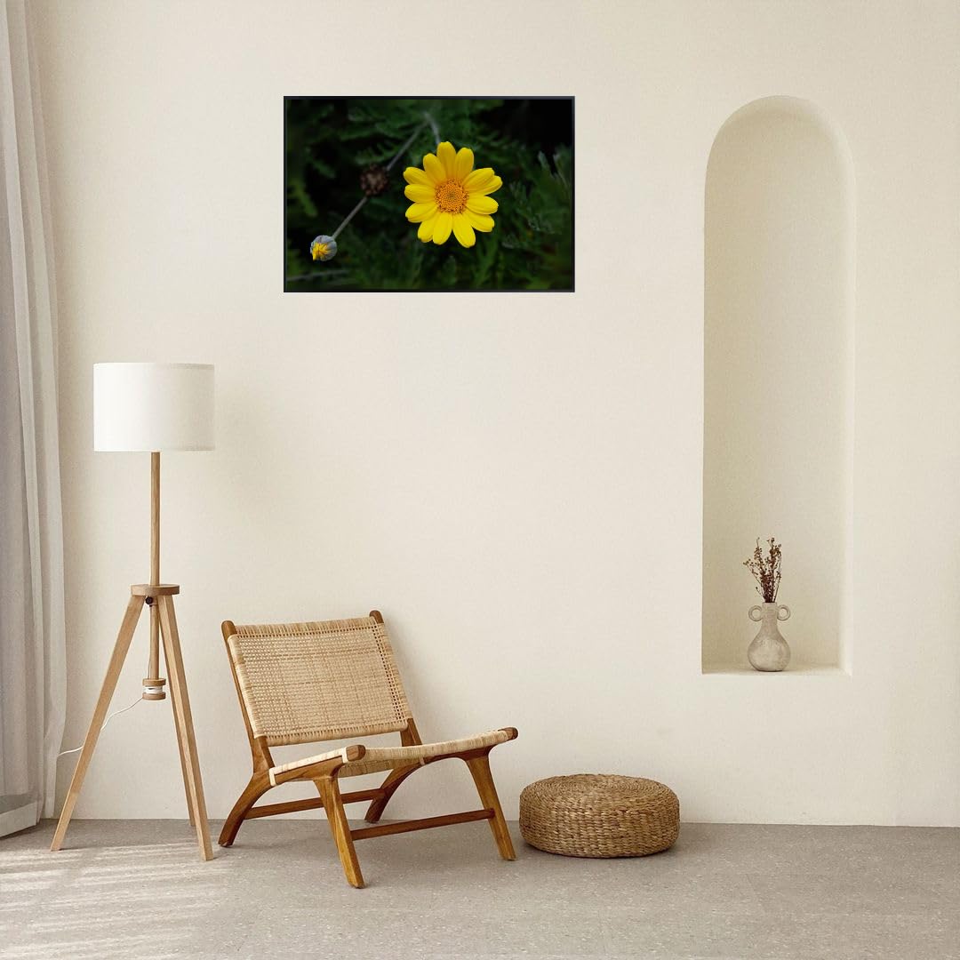 Yellow Chamomile Wall Art Poster – Golden Marguerite Botanical Print for Home Decor, Aesthetic Floral Artwork for Living Room, Bedroom, Office, Kitchen – Modern Nature Wall Art