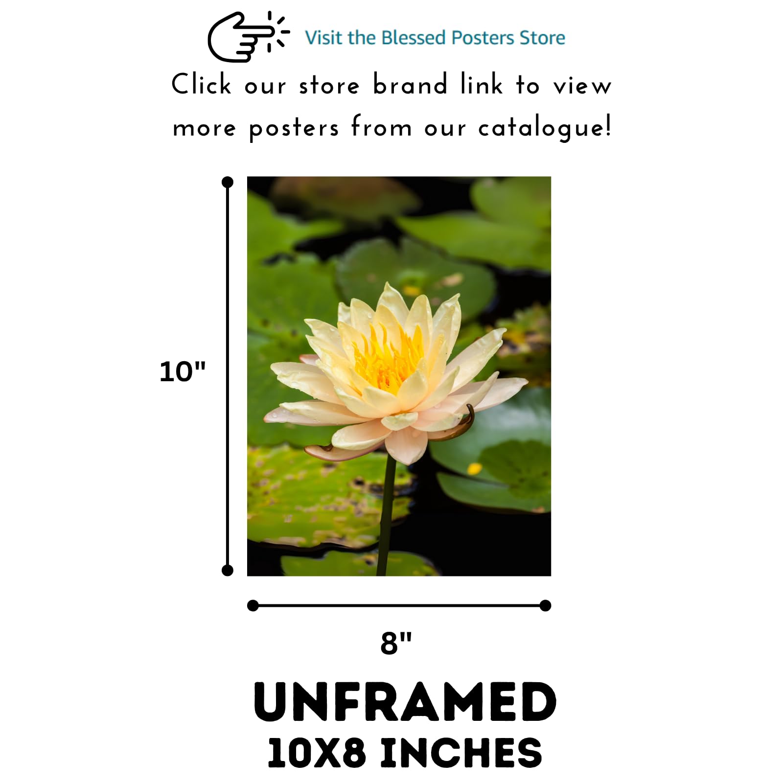 Yellow Water Lily Wall Art Poster – Botanical Flower Print for Home Decor, Nature Artwork for Living Room, Bedroom, Office
