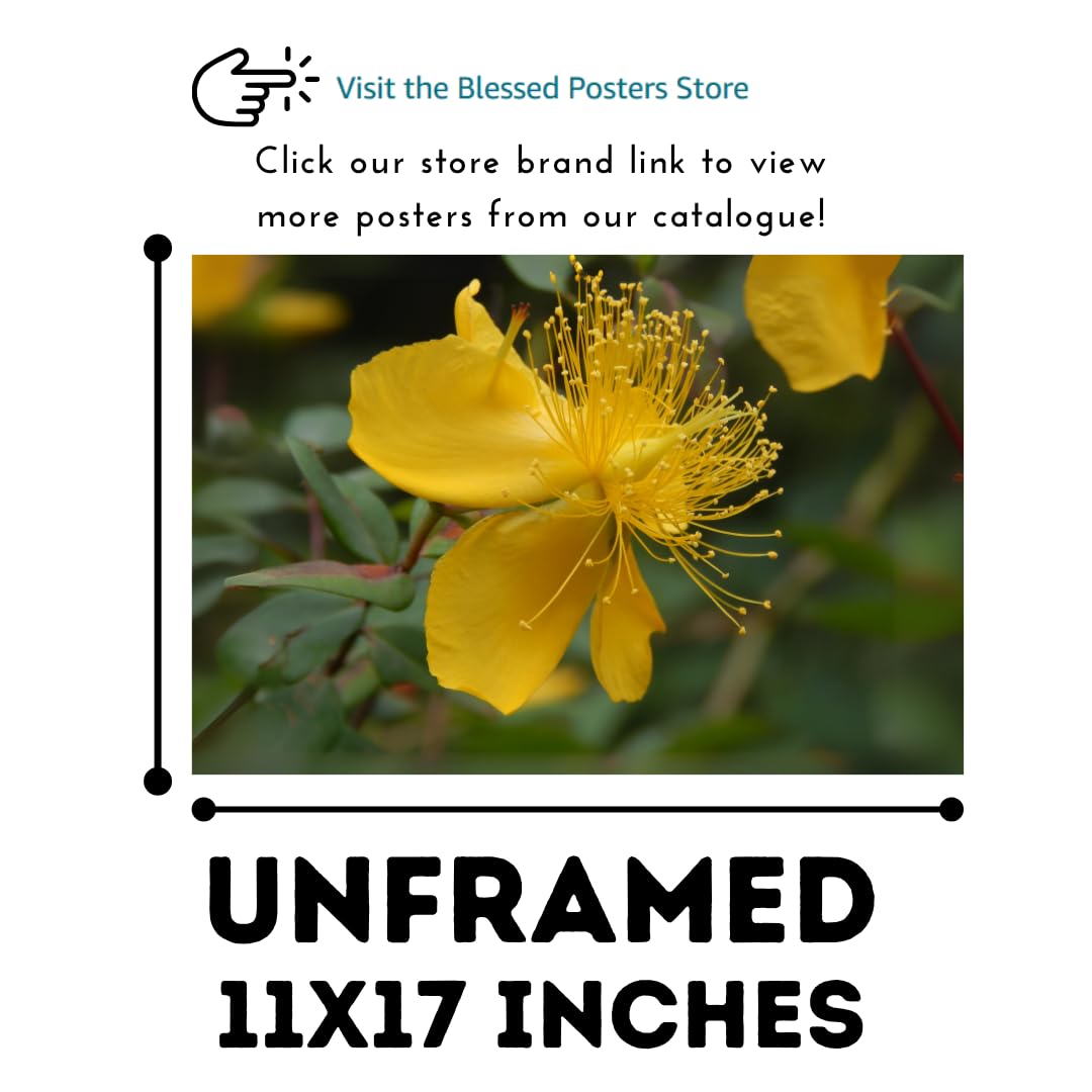 Rose of Sharon Wall Art Poster – Floral Home Decor, Botanical Print for Living Room, Bedroom, Office, or Nursery