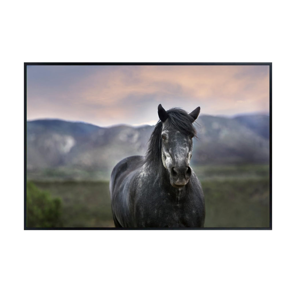 Horse in New Mexico Mountain Poster – Wildlife Wall Art Print for Living Room, Bedroom, Office, or Study Décor