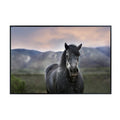 Horse in New Mexico Mountain Poster – Wildlife Wall Art Print for Living Room, Bedroom, Office, or Study Décor