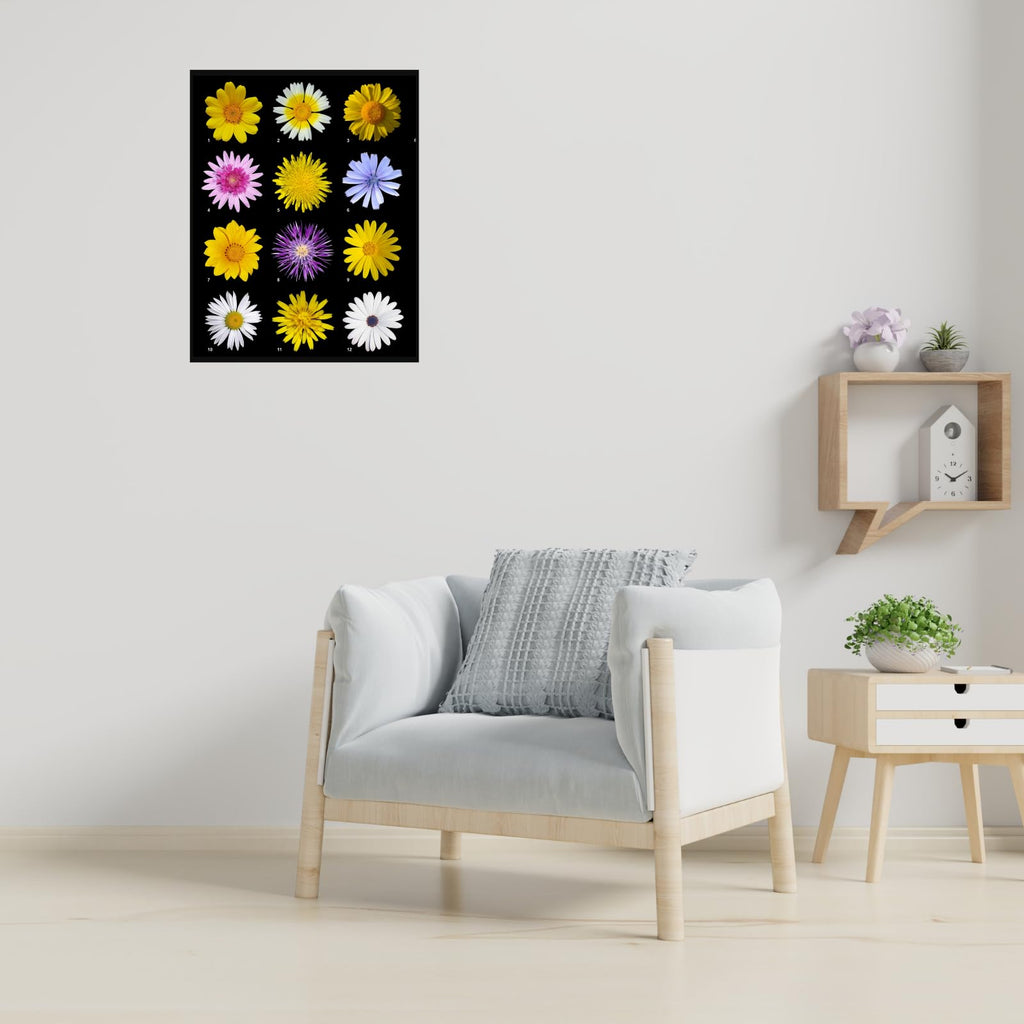 Asteraceae Daisy Botanical Wall Art Poster for Home Decor | Floral Illustration Print for Living Room, Bedroom, Office Decoration