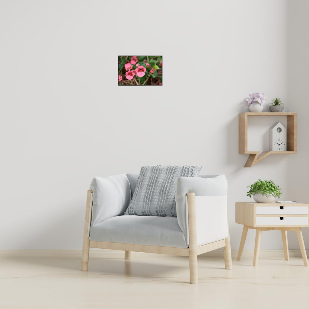 Diascia Barberae Ruby Field Poster – Floral Wall Art for Home Decor, Botanical Flower Print, Bedroom & Living Room Wall Decor