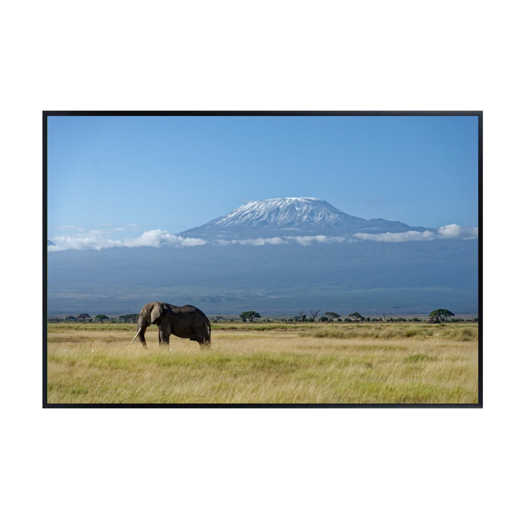Alone Elephant Artwork Poster – Nature Wildlife Wall Print for Bedroom, Living Room, or Office Décor