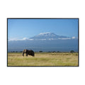 Alone Elephant Artwork Poster – Nature Wildlife Wall Print for Bedroom, Living Room, or Office Décor
