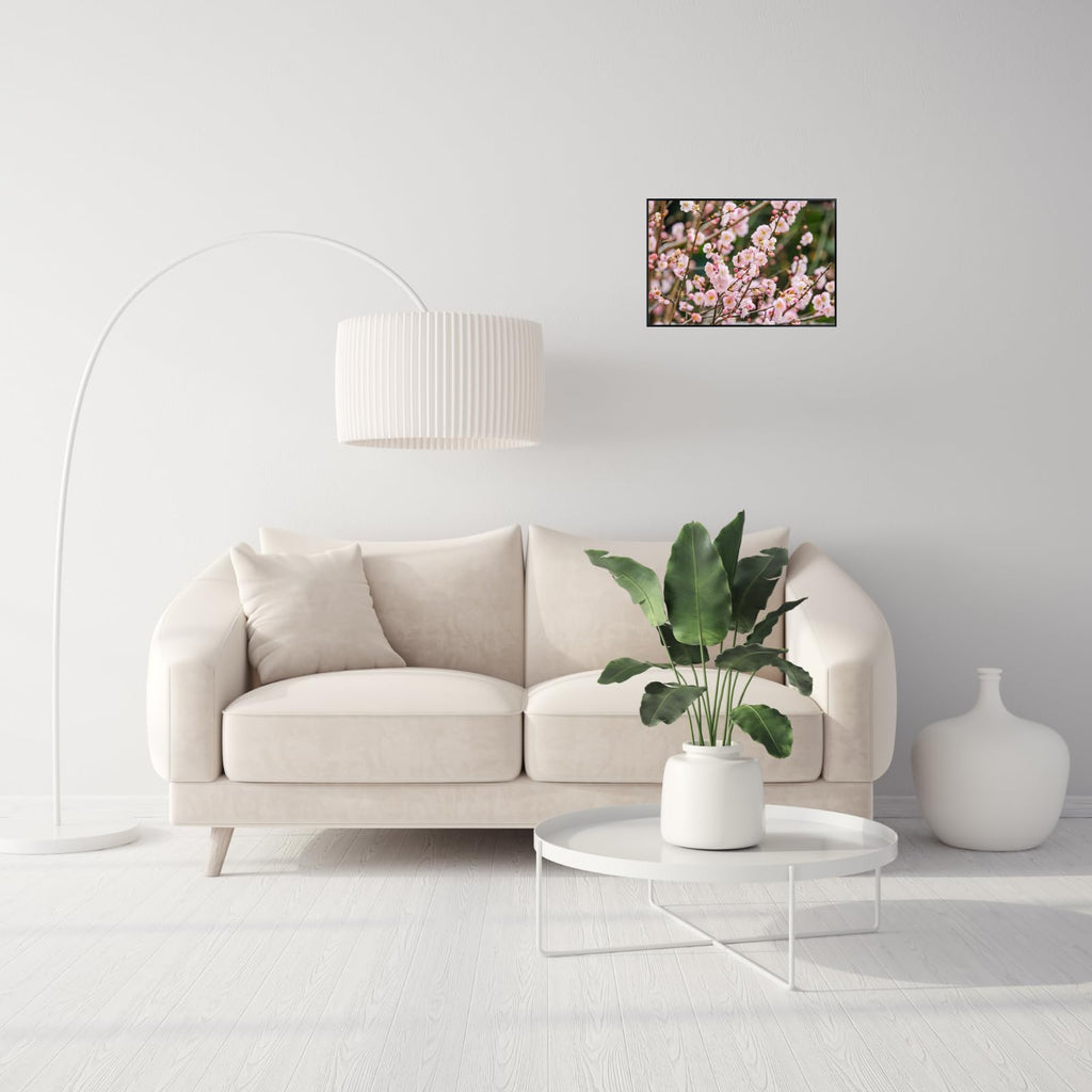 Pink Prunus Poster – Cherry Blossom Botanical Wall Art Print for Home Decor, Living Room, Bedroom, or Office – Elegant Floral Nature Artwork