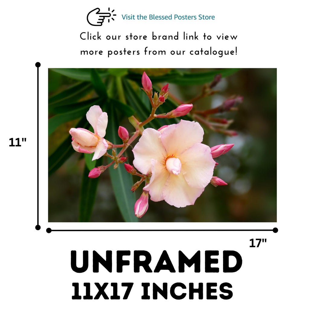 Nerium Oleander Wall Art Poster – Botanical Flower Print for Home Decor, Nature-Inspired Art for Living Room, Bedroom, or Office – Elegant Floral Art Print