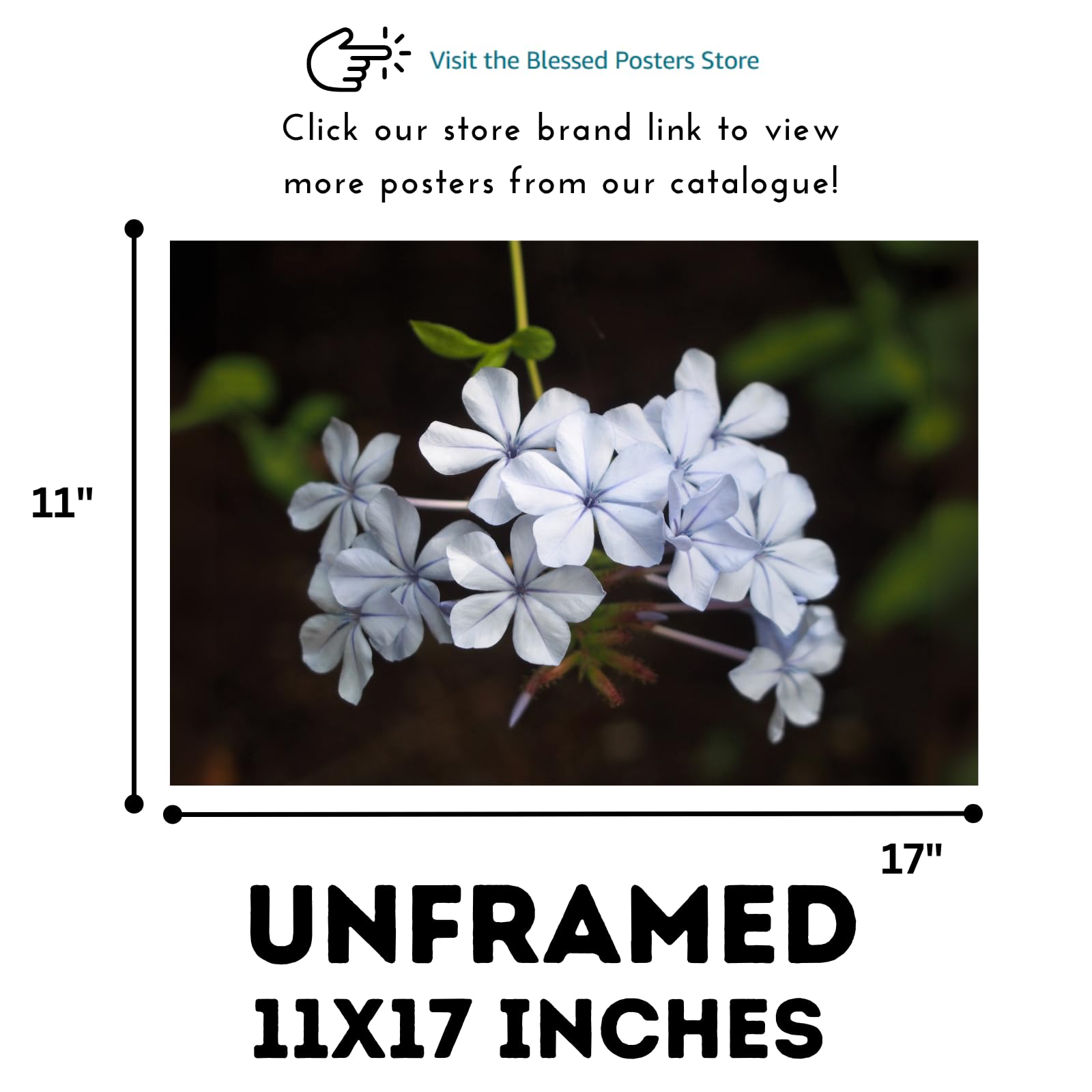 Blue Plumbago Botanical Wall Art Poster – Elegant Floral Home Decor for Living Room, Bedroom, or Office – Nature Flower Print for Modern & Classic Interiors