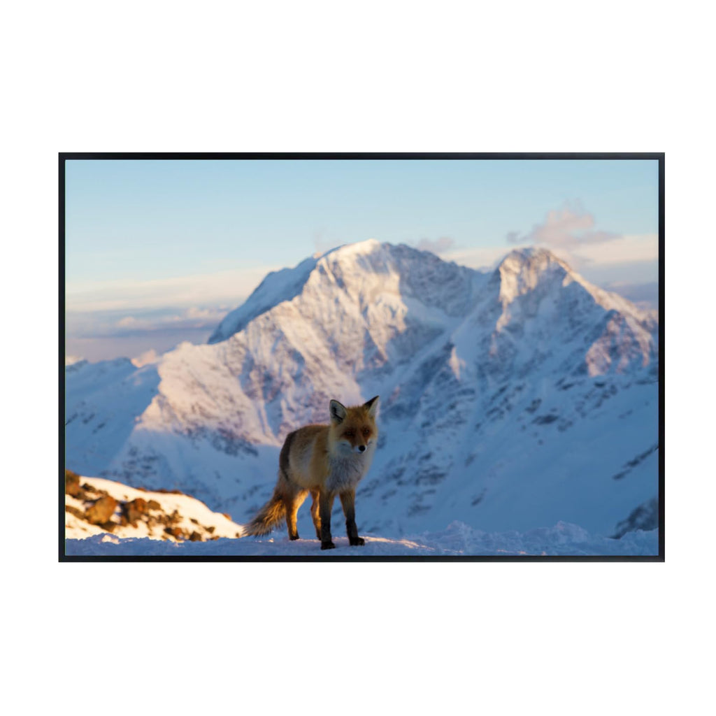 Cheghet Fox Poster – Wilderness Wildlife Wall Art Print for Living Room, Bedroom, Office, or Study Décor