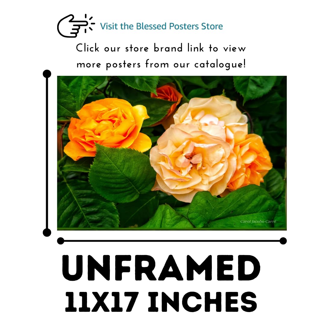 Amber Glow Rose Wall Art Poster – Floral Home Decor, Botanical Print for Living Room, Bedroom, Office, Gift, Nature Artwork