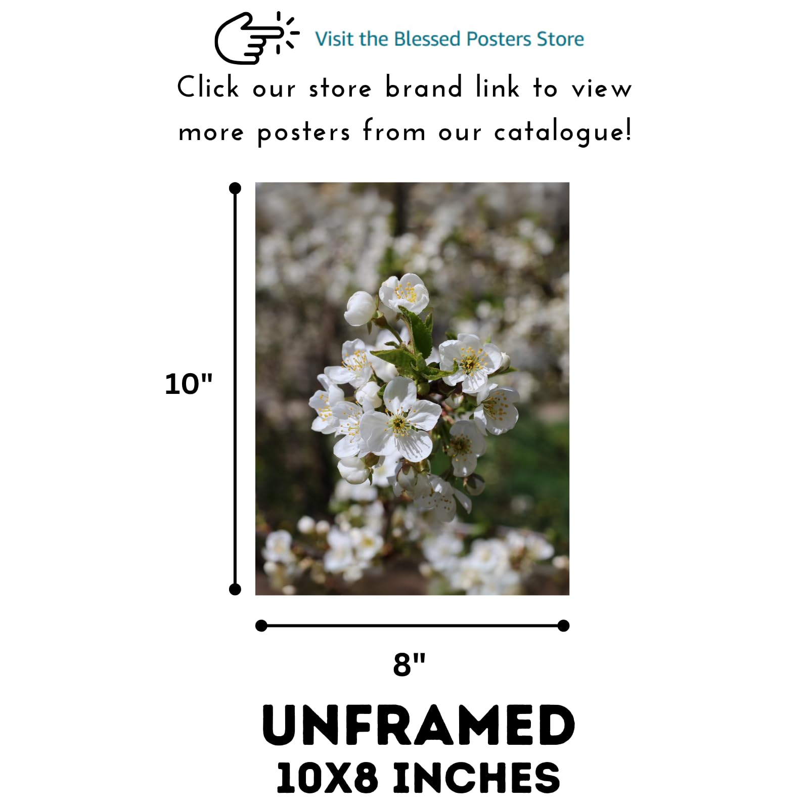 Plum Blossom Wall Art Poster – Botanical Flower Print for Home Decor, Living Room, Bedroom, Office Decoration