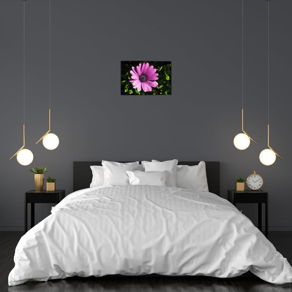 Osteospermum Barberae Wall Art Poster – African Daisy Botanical Print, Elegant Floral Home Decor for Living Room, Bedroom, or Office