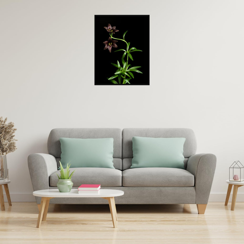 Kamchatka Lily Wall Art Poster – Botanical Fritillaria Camschatcensis Flower Print Home Decor