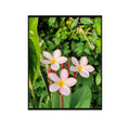 Plumeria Wall Art Poster – Tropical Flower Artwork for Home Decor, Botanical Print for Living Room, Bedroom, Office, Modern Floral Aesthetic