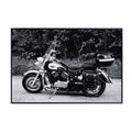Kawasaki Vulcan S Motorcycle Poster - Cruiser Wall Decor for Garage, Living Room or Man Cave