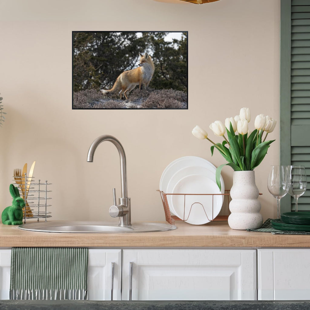 Red Fox Wall Art – Rustic Wildlife Poster Print for Living Room, Bedroom, Office, or Study Décor