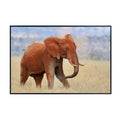 Red Elephant Wall Art Print – Wildlife Animal Poster for Home Decor, Living Room, Bedroom, or Office Decoration