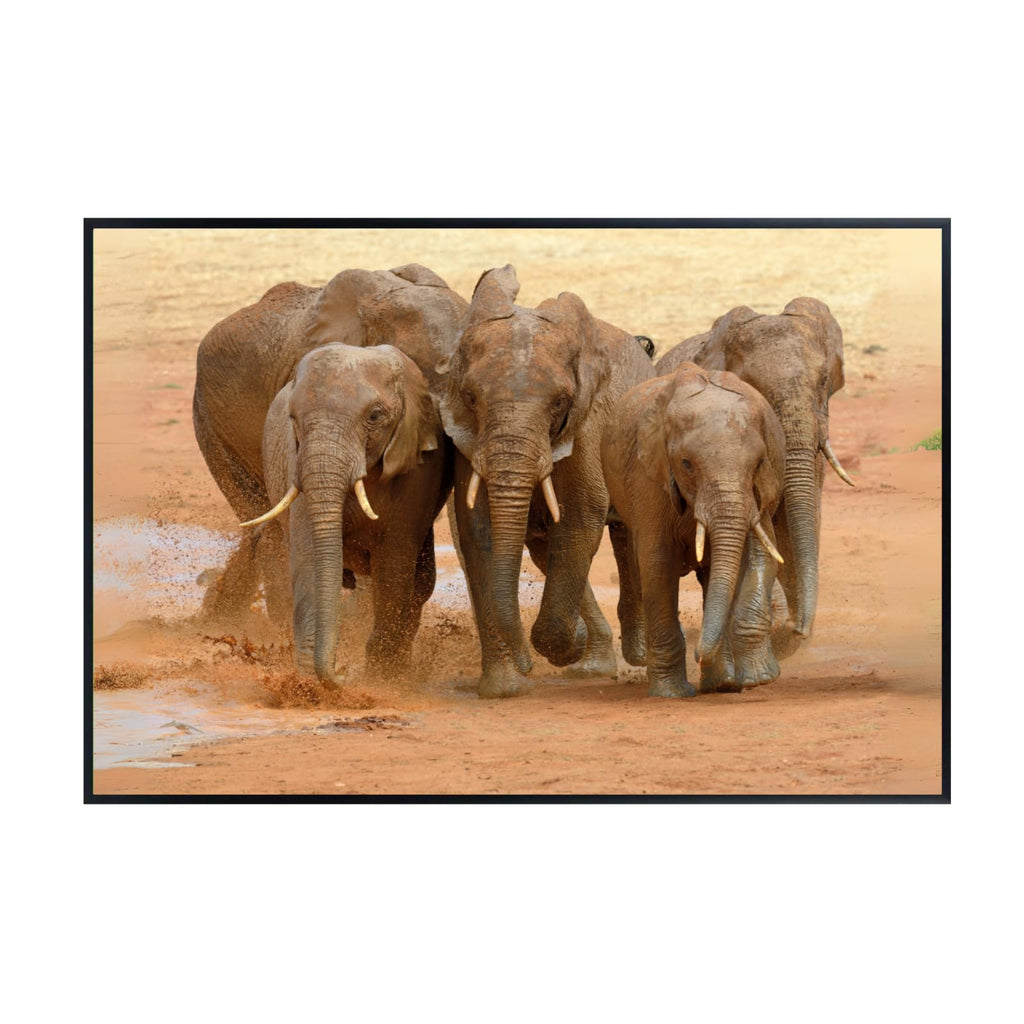 Wildlife Running Elephant Wall Art Poster – Safari Animal Print for Home, Living Room, Bedroom, or Office Décor