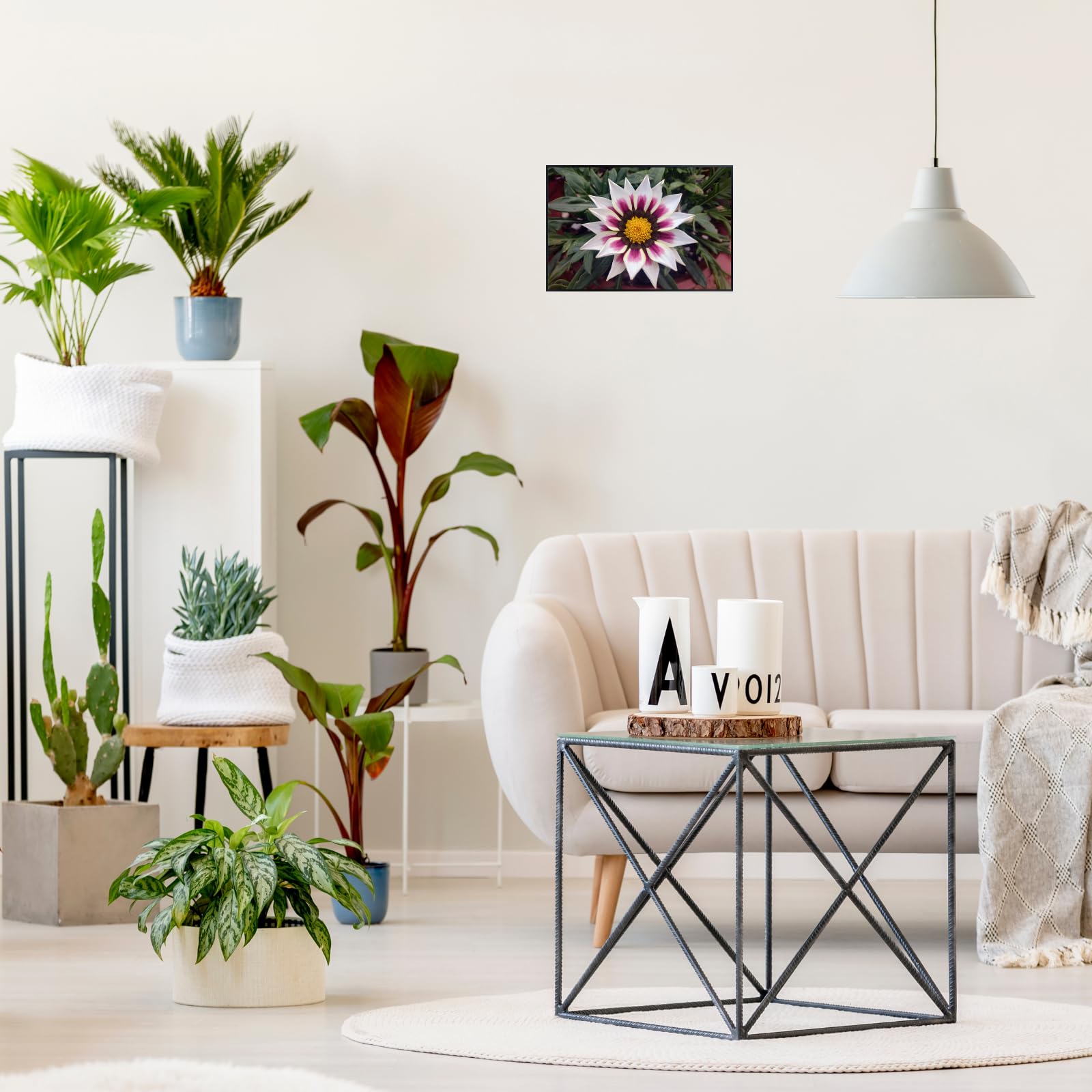 Gazania ‘Big Kiss White Flame’ Wall Art Poster – Vibrant Floral Botanical Print, Colorful Flower Home Decor for Living Room, Bedroom, or Office
