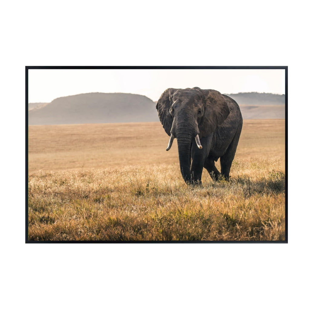 National Park Elephant Wall Art – Wildlife Poster Print for Home, Bedroom, Living Room, or Office Décor