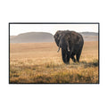 National Park Elephant Wall Art – Wildlife Poster Print for Home, Bedroom, Living Room, or Office Décor
