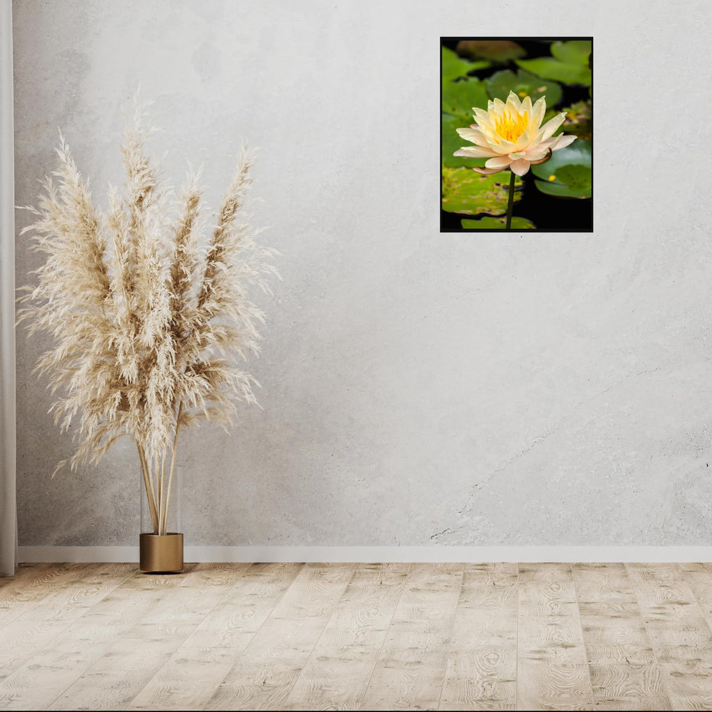 Yellow Water Lily Wall Art Poster – Botanical Flower Print for Home Decor, Nature Artwork for Living Room, Bedroom, Office