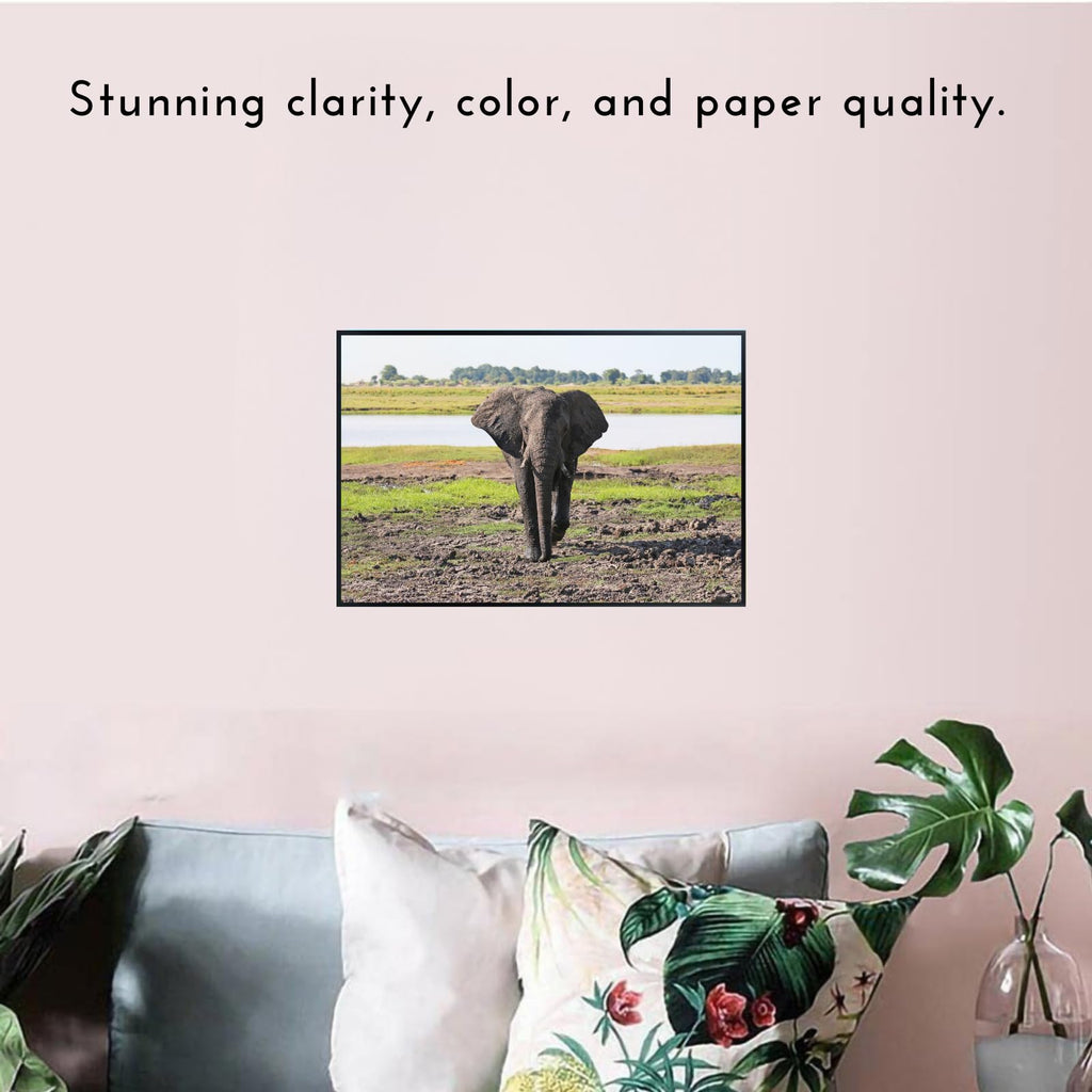 Elephant Artwork Poster – National Park Safari Scene for Living Room, Office, or Bedroom Wall Décor