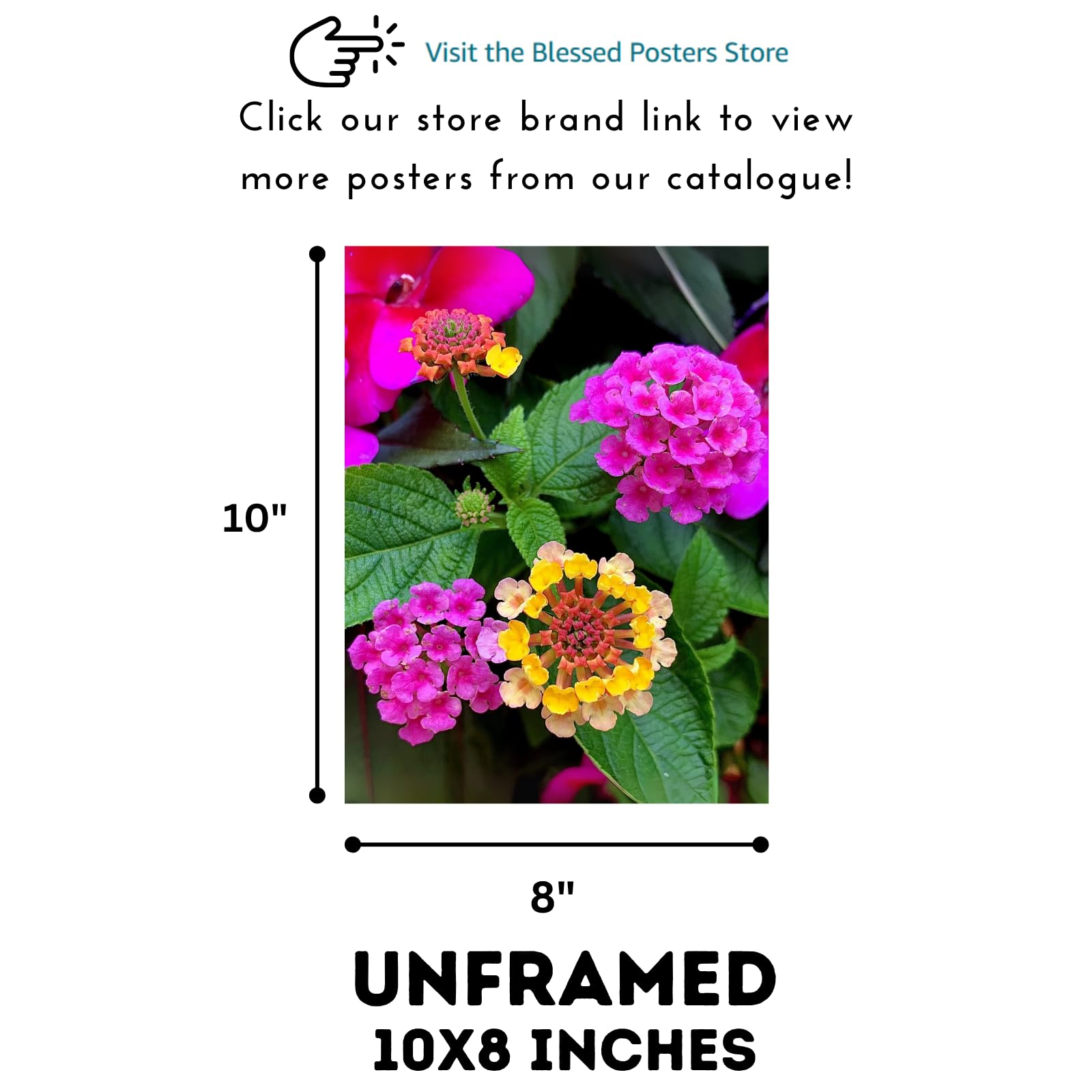 Lantana Flower Wall Art Poster – Botanical Print for Home Decor, Floral Artwork for Living Room, Bedroom, Office & Gallery Walls