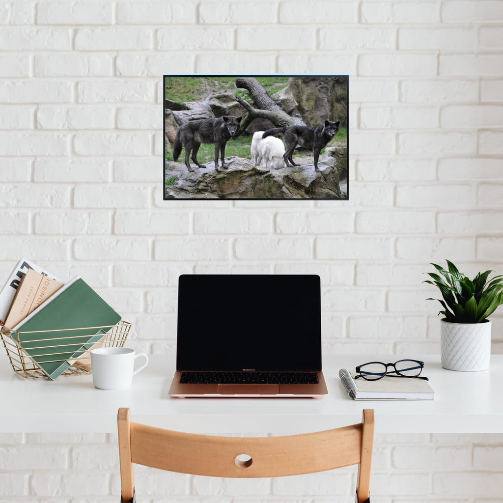 Lupus Wolf Poster – Wilderness Wildlife Wall Art Print for Living Room, Bedroom, Office, or Study Décor
