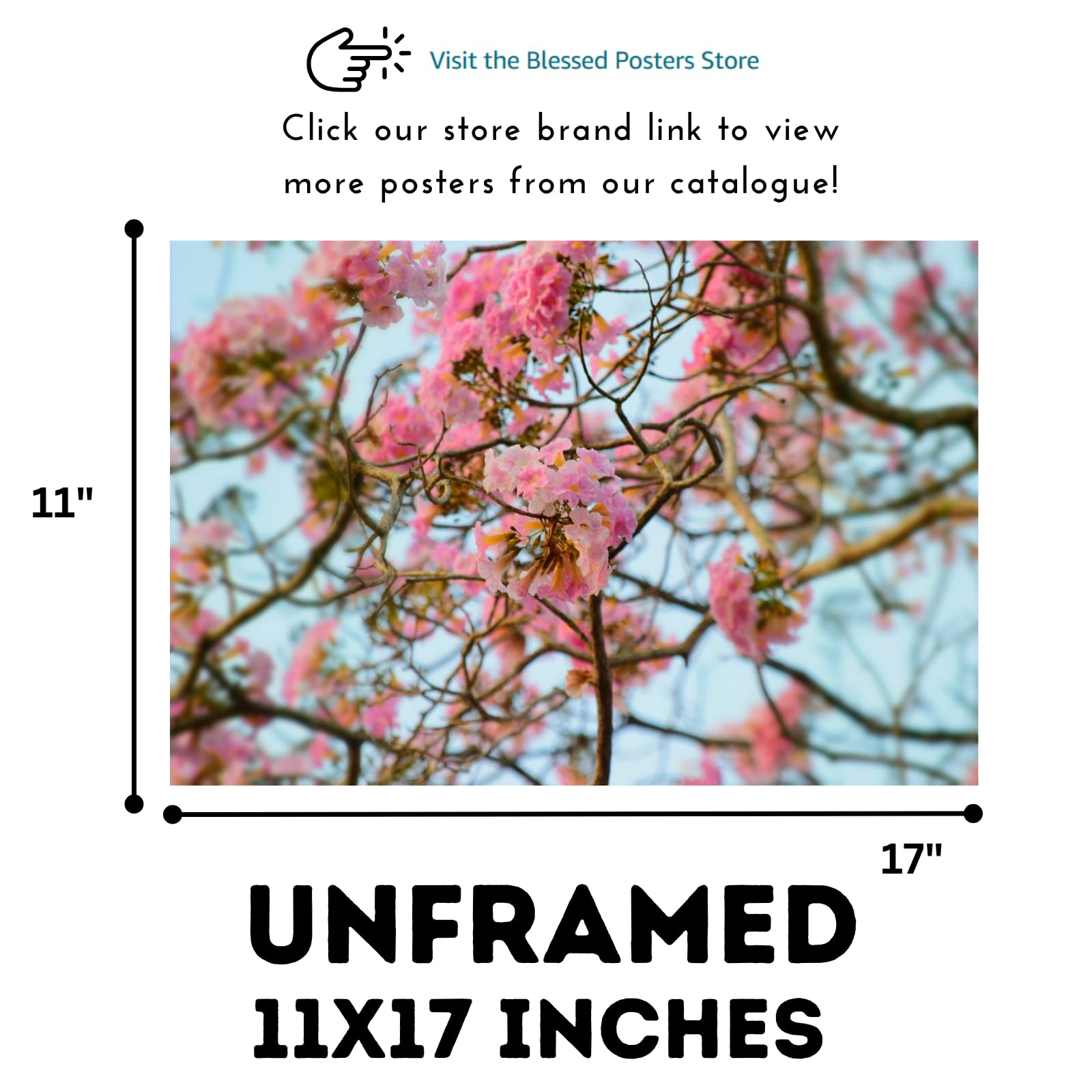 Tabebuia Rosea Wall Art Poster – Botanical Flower Print for Home Decor, Nature-Inspired Floral Art for Living Room, Bedroom, or Office – Elegant Botanical Poster