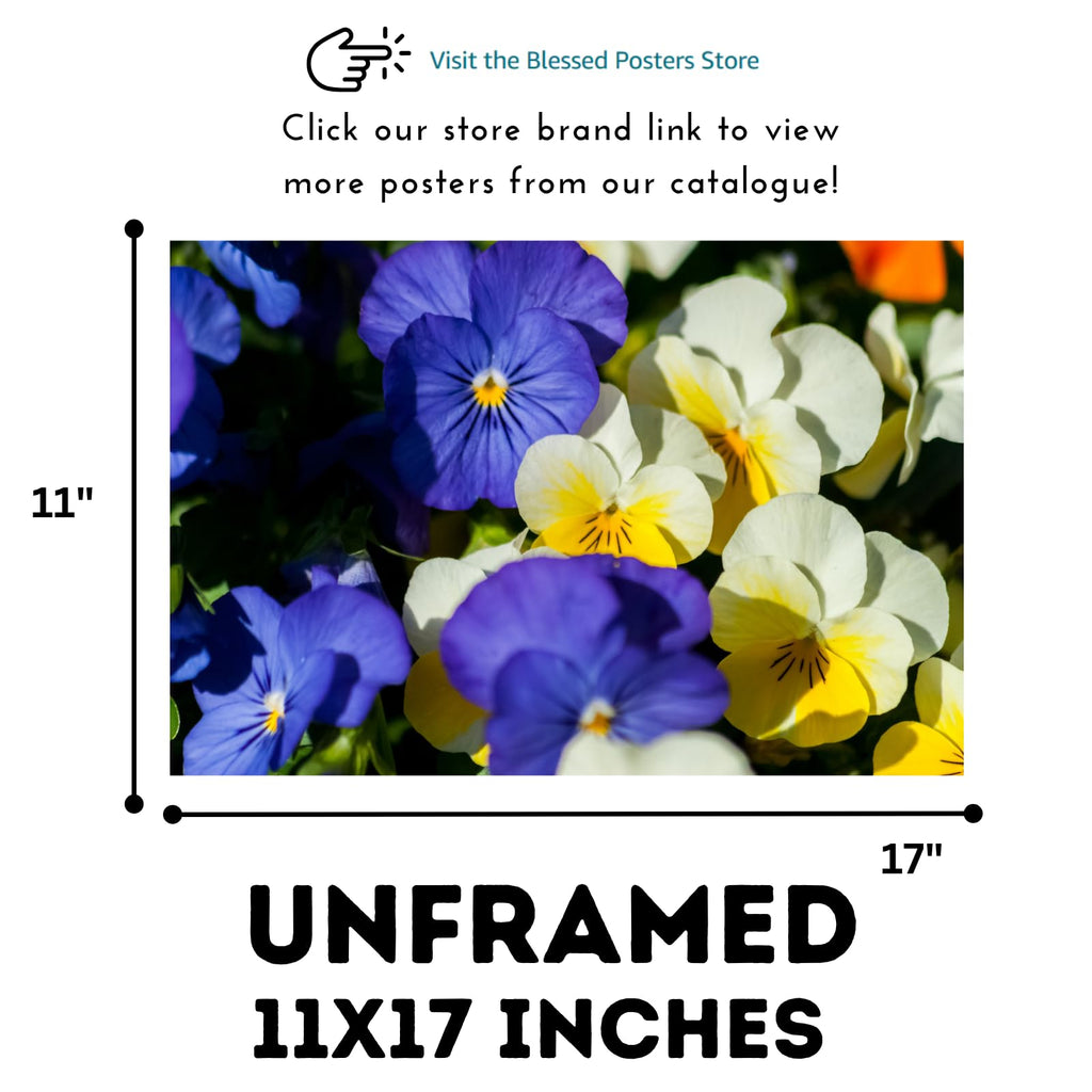 Pansy Flower Wall Art Poster – Botanical Floral Print, Vibrant Nature-Inspired Home Decor for Living Room, Bedroom, or Office