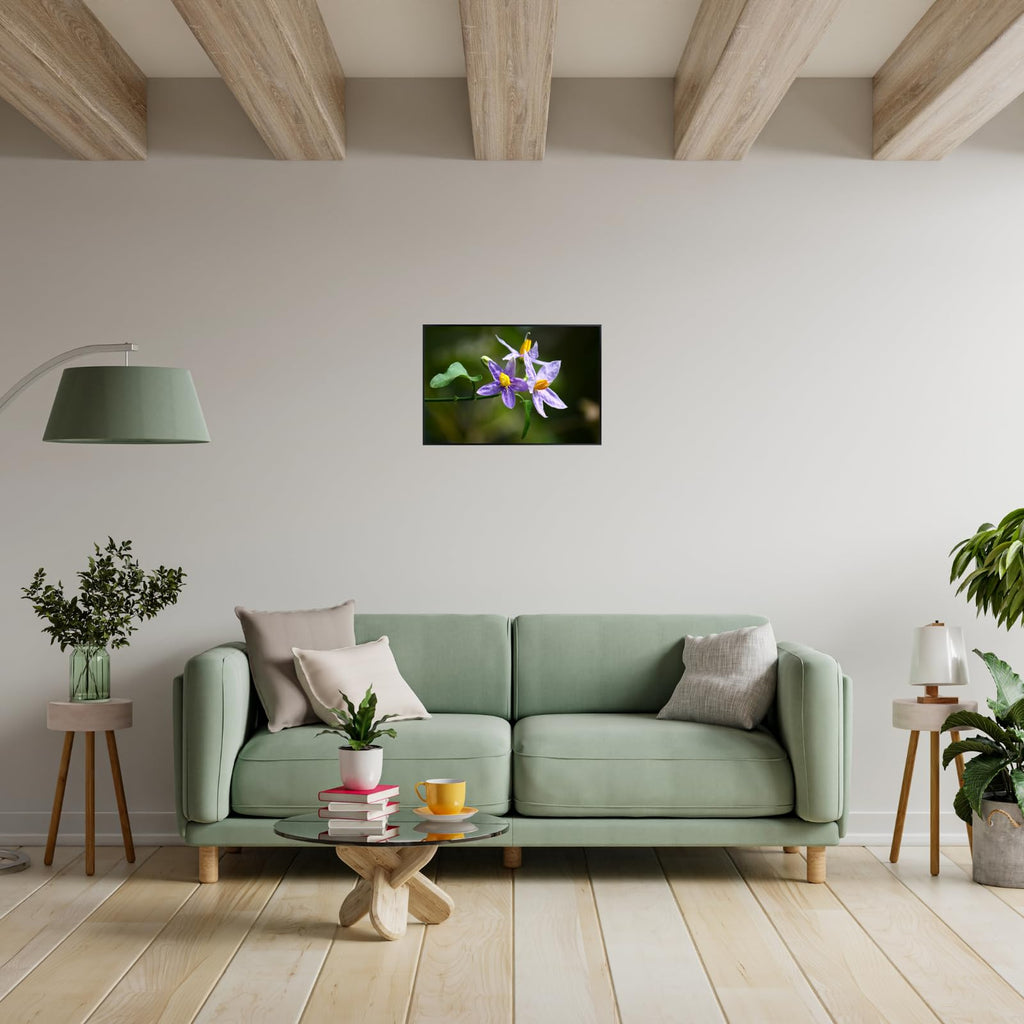 Solanum Trilobatum Poster – Botanical Wall Art Print for Home Decor, Living Room, Bedroom, or Office – Elegant Floral Nature Artwork