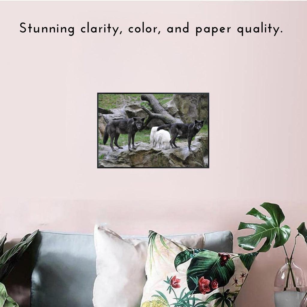 Lupus Wolf Poster – Wilderness Wildlife Wall Art Print for Living Room, Bedroom, Office, or Study Décor