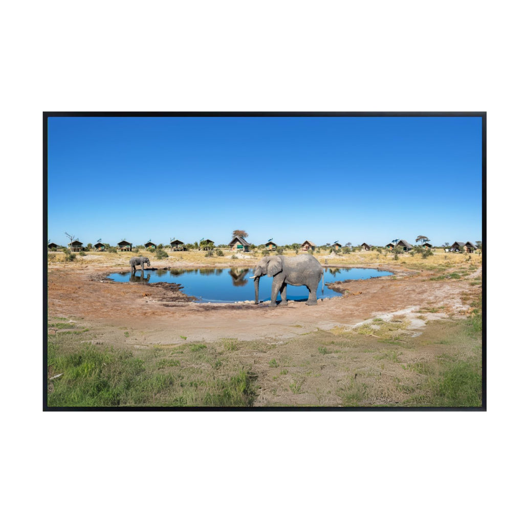African Elephant Poster Wall Art – Wildlife Safari Animal Print for Living Room, Bedroom, Office, or Home Décor