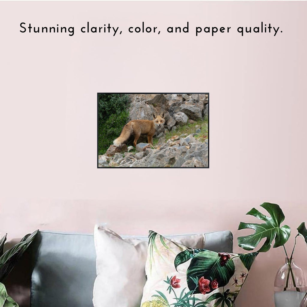 Renard Fox Poster – Wildlife Nature Wall Art Print for Living Room, Bedroom, Office, or Study Décor