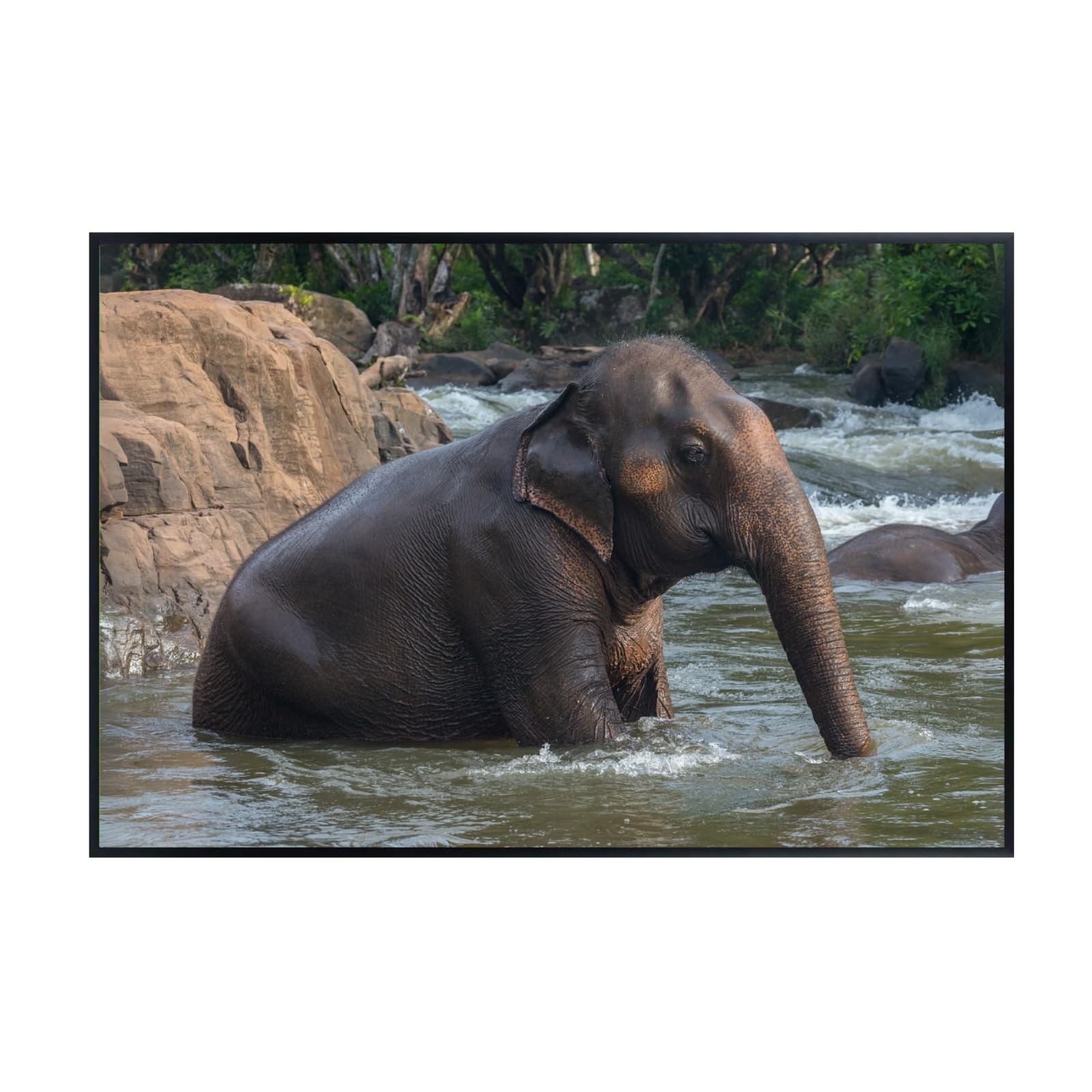 Asian Elephant Poster Wall Art Print – Wildlife Animal Decor for Living Room, Bedroom, or Office