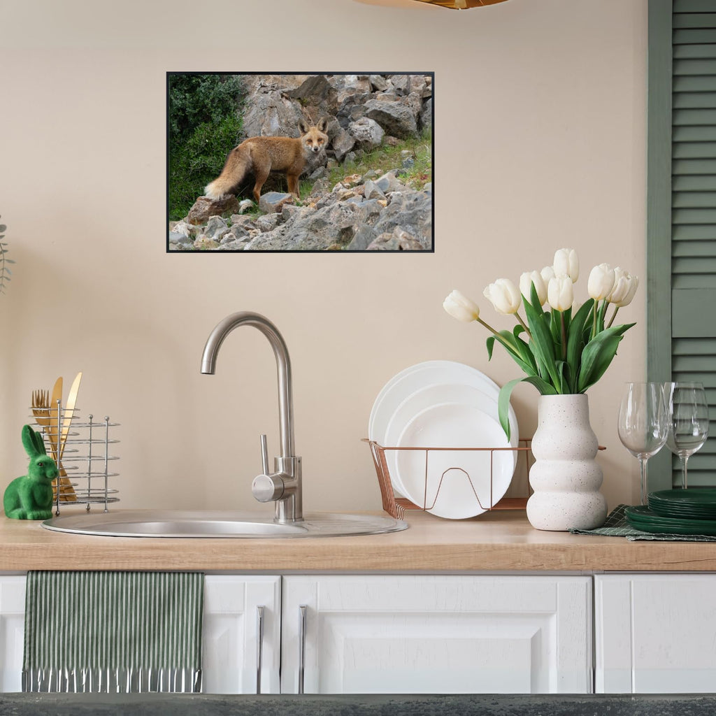 Renard Fox Poster – Wildlife Nature Wall Art Print for Living Room, Bedroom, Office, or Study Décor